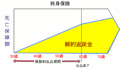 終身保険の、お金の貯まり方のイメージ