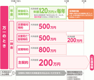 JA共済『終身共済』