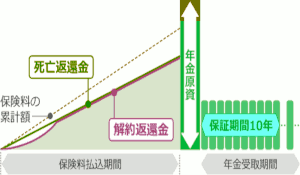 とんちん年金のイメージ図